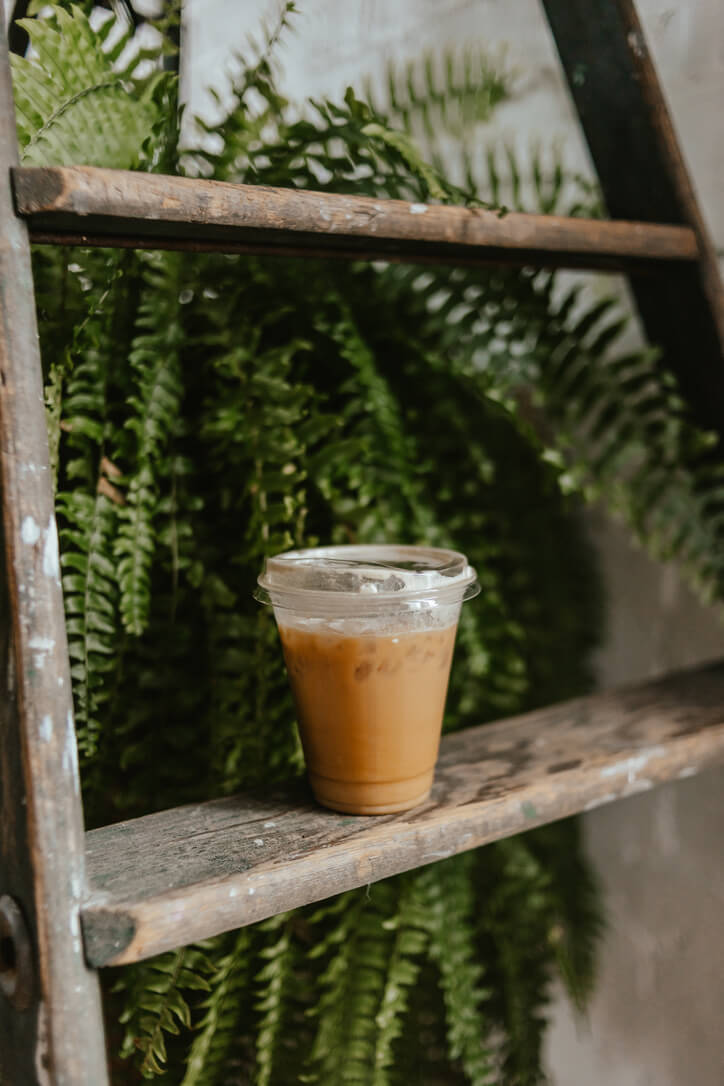 Iced coffee sitting on a ladder with a large fern in the background